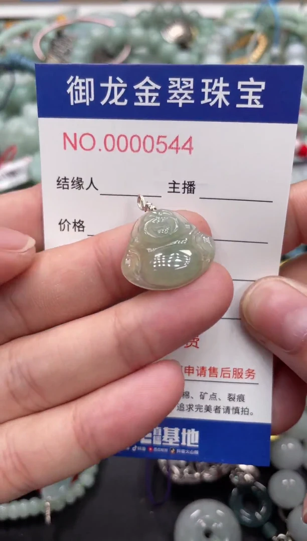 翡翠未镶嵌颈饰058