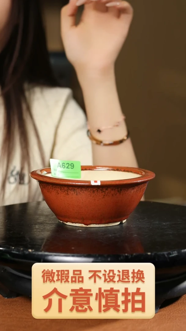 629     5寸小圆盆