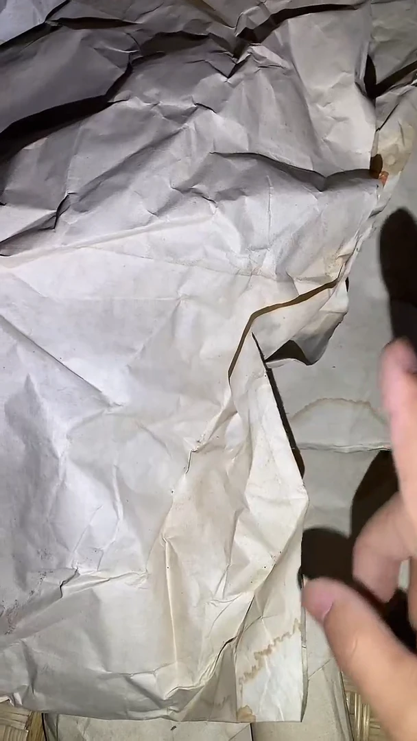 木65啊啊啊啊啊啊啊啊啊啊啊啊啊啊画