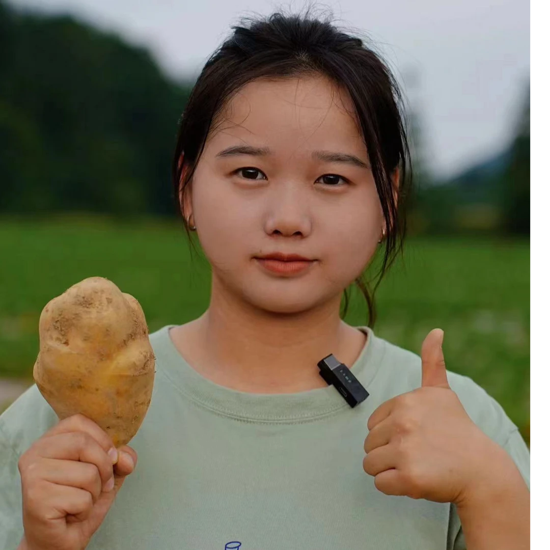 （秋田里）新鲜现挖黄皮黄心土豆沙糯粉面当季蔬菜