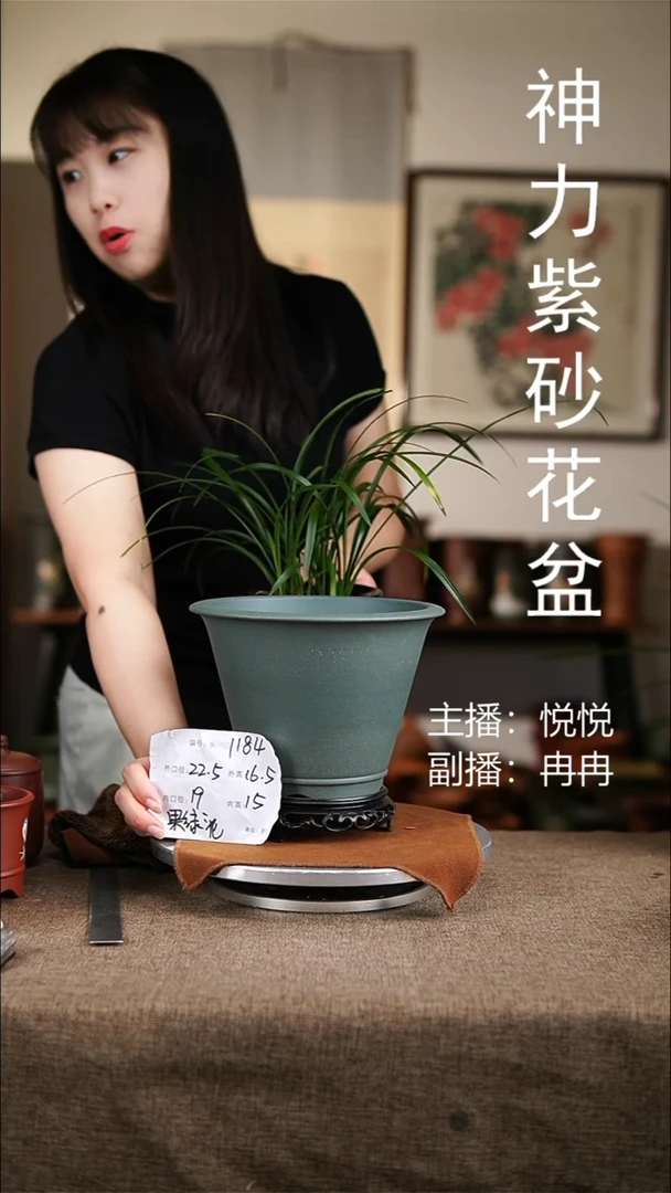 紫砂花盆紫砂花盆1184+s果绿