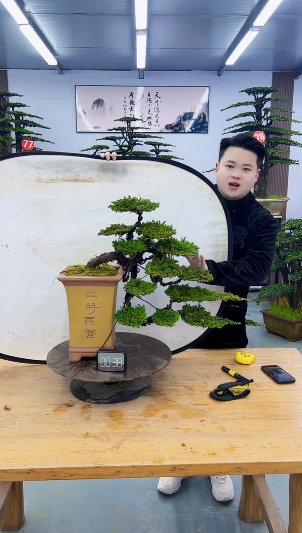 以实际为准00000