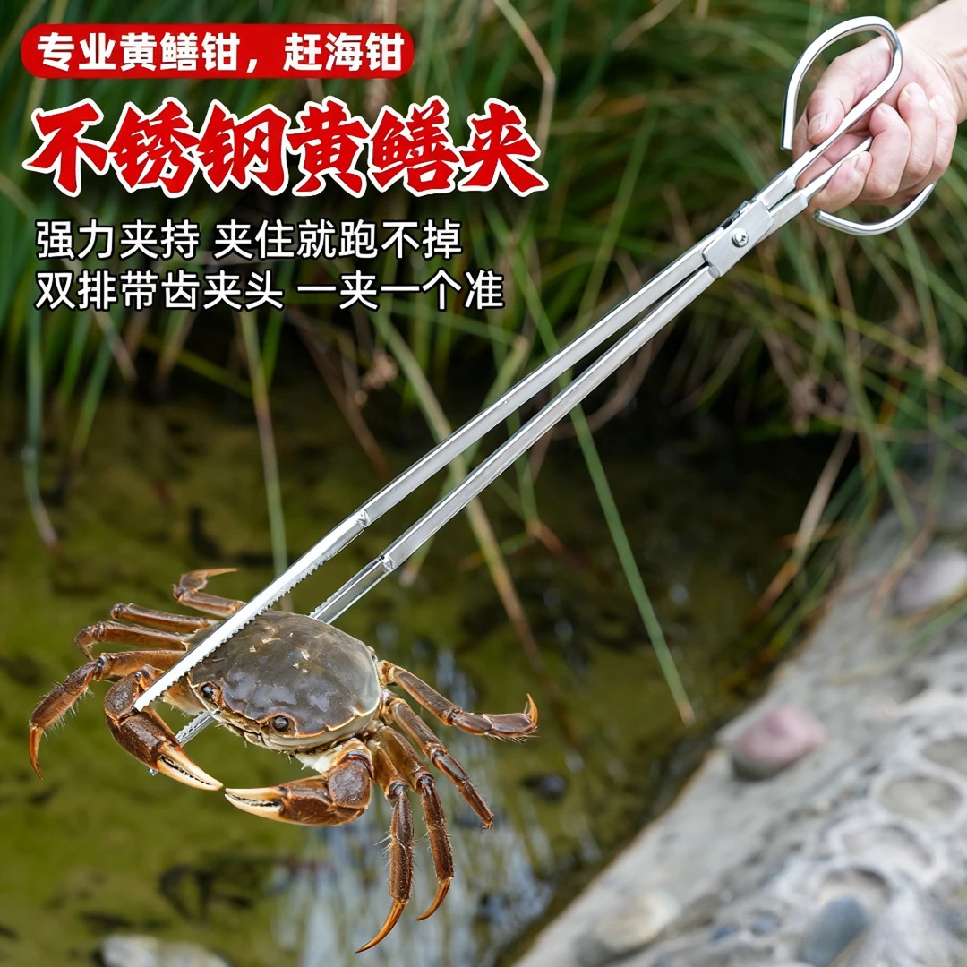 不锈钢赶海螃蟹夹鱼钳黄鳝夹泥鳅钳鳝鱼钳防错位夹子防脱加强版