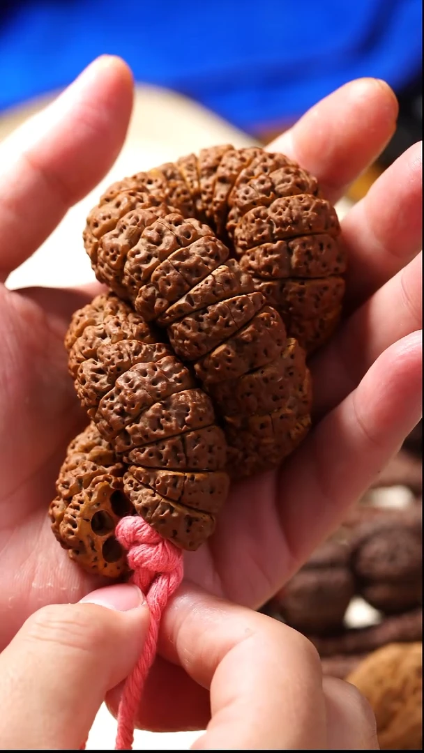 吊坠金刚菩提玺呈枝蓝•拍山海五面送无相大肠22mm