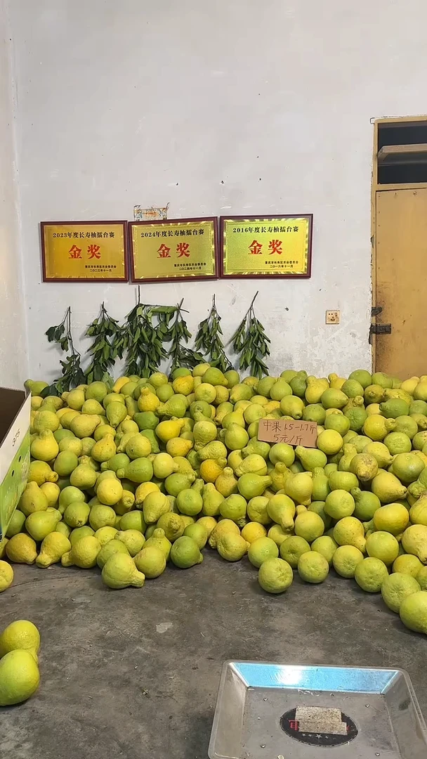 真龙柚正宗长寿邻封沙田柚 中果 6个  含箱重量  11.58  斤