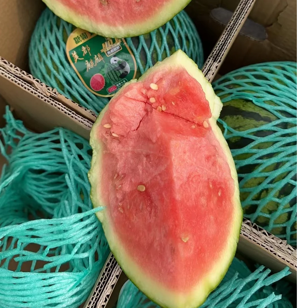 云南麒麟西瓜 ——怕裂慎拍9斤±0.5【1粒】【顺丰次日达】