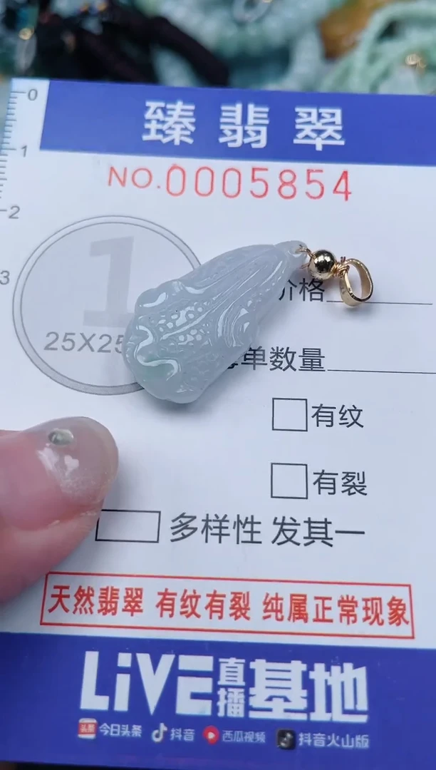 颈饰未镶嵌翡翠.0005854