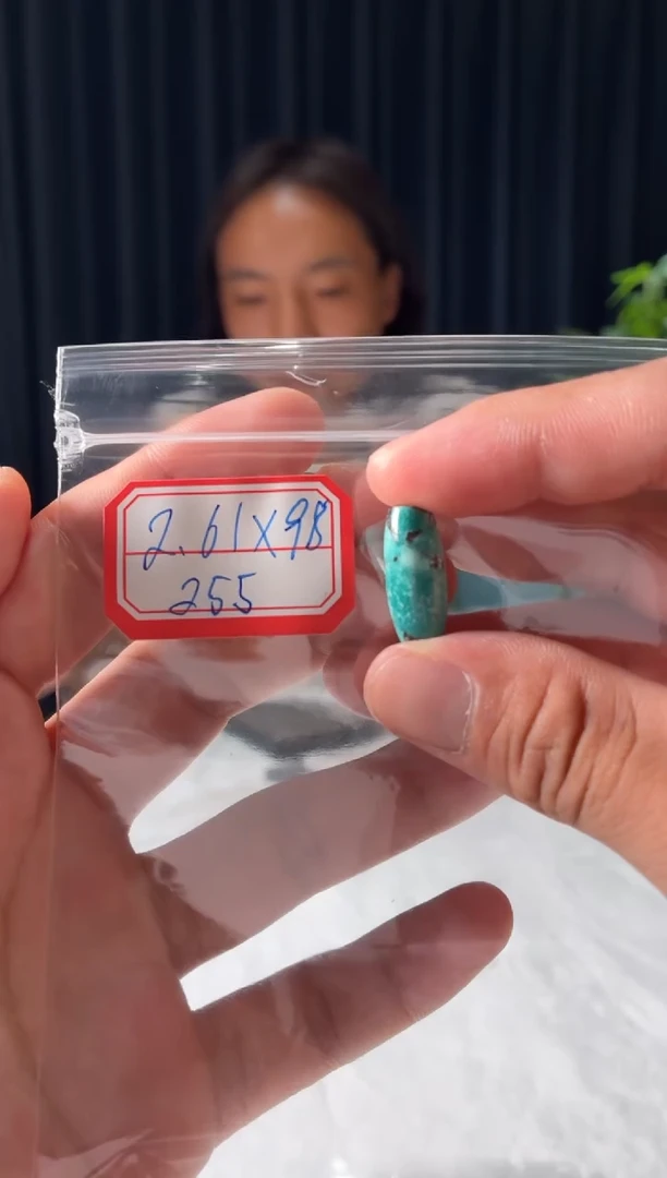 未镶嵌绿松石项链噶玛珠宝（无绳子）