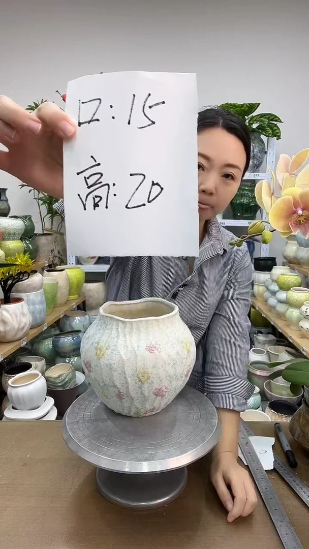 11.24陶瓷花盆直播链接高.   20   口15