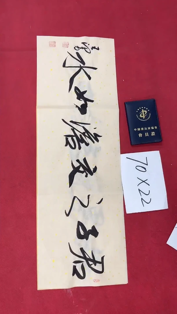 书法中书王泽勇老师书法作品