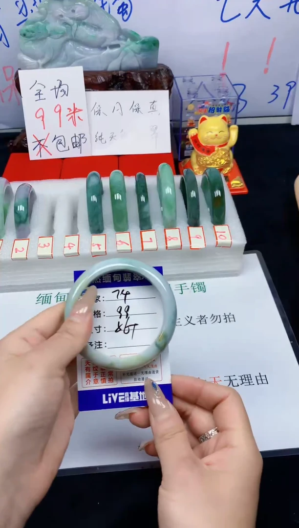 未镶嵌手镯翡翠74