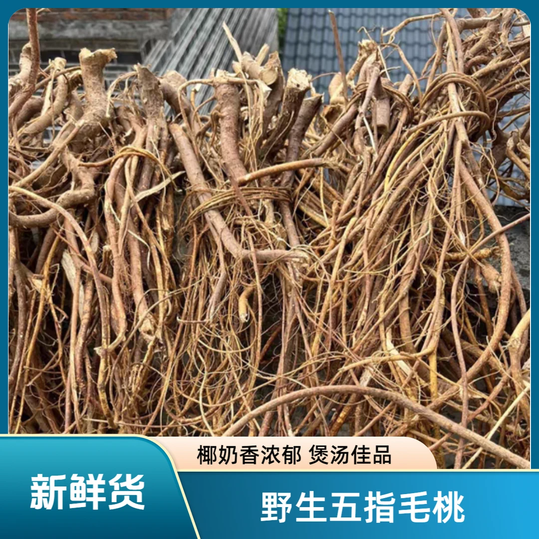 广西野生五指毛桃搭配折耳根五指牛奶根煲汤佳品香味浓郁