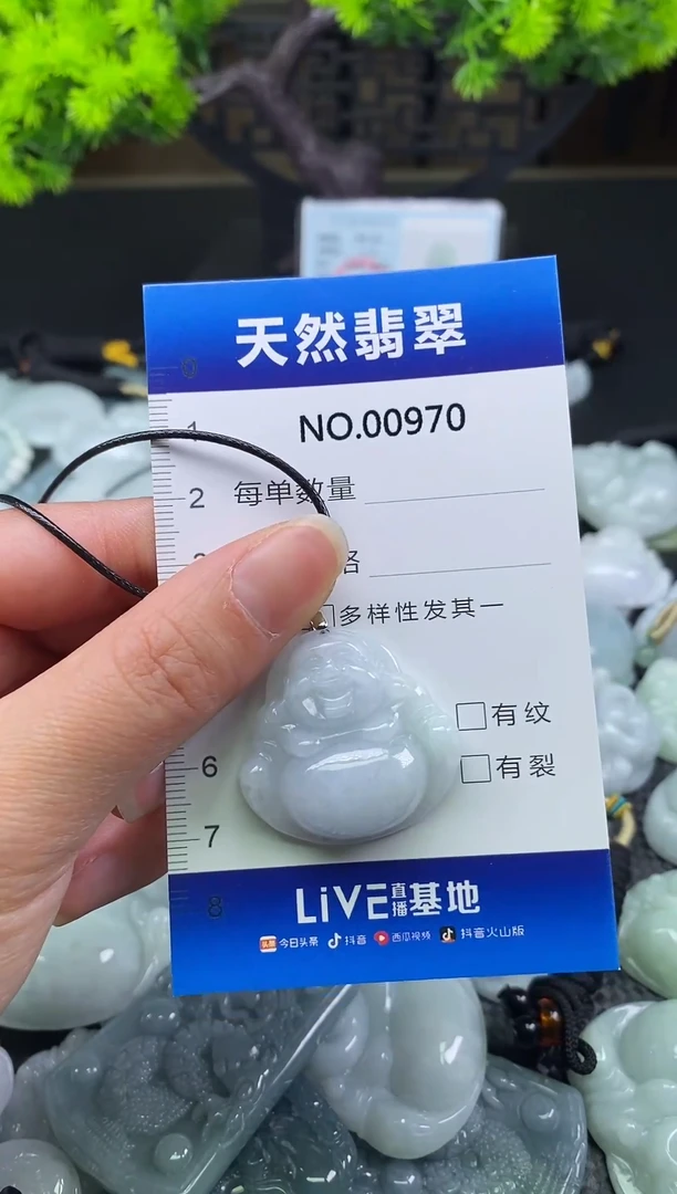 颈饰未镶嵌翡翠天然缅甸翡翠970