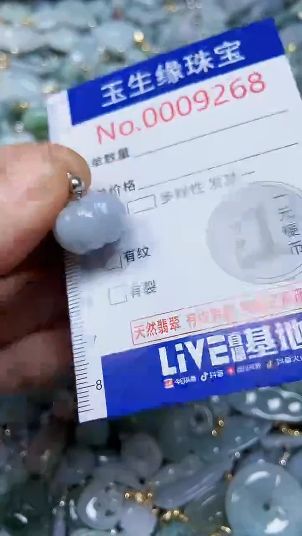 【闪购商品】翡翠颈饰未镶嵌闪购00009268