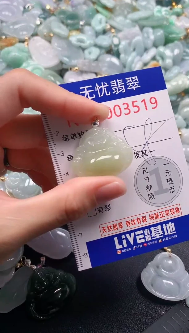 颈饰未镶嵌翡翠3519