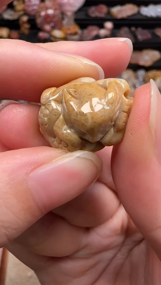硅化珊瑚（珊瑚玉）未镶嵌颈饰246