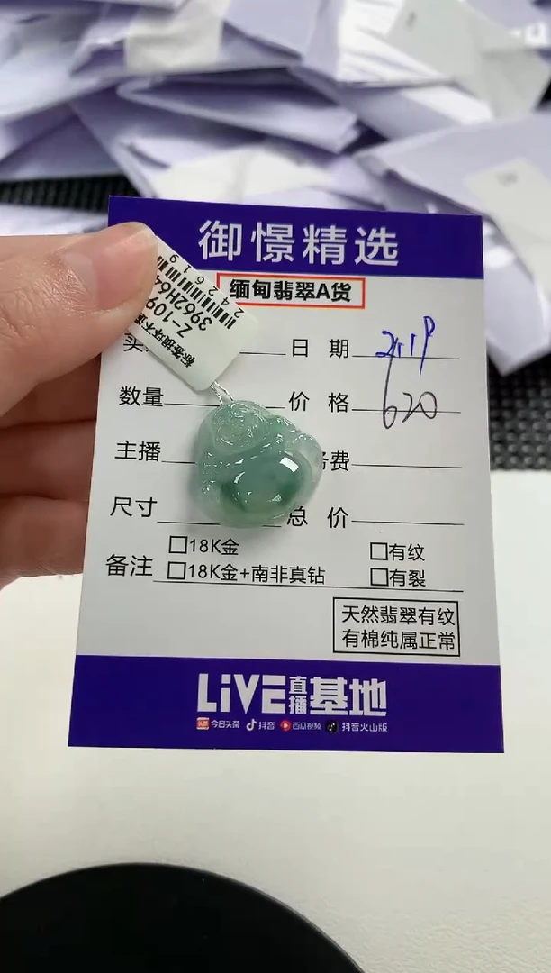 【闪购商品】翡翠颈饰未镶嵌31