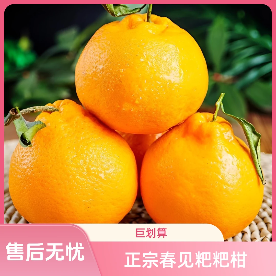 【粑粑柑】新鲜采摘香甜多汁手应季水果 M