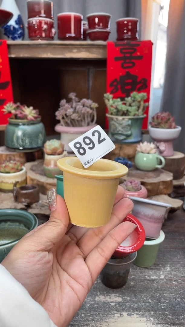 【闪购商品】摆件892微瑕知木小芳花盆