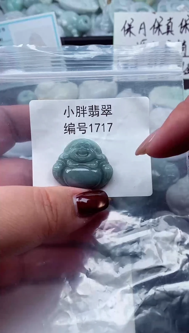 颈饰未镶嵌翡翠缅甸天然A货翡翠1717