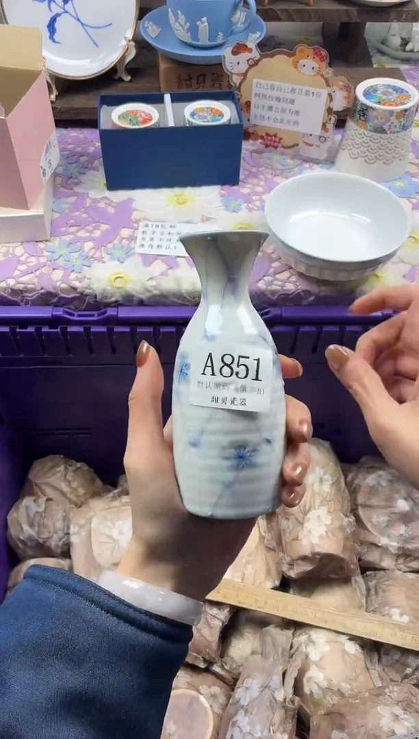 瓷片在****虾                A851