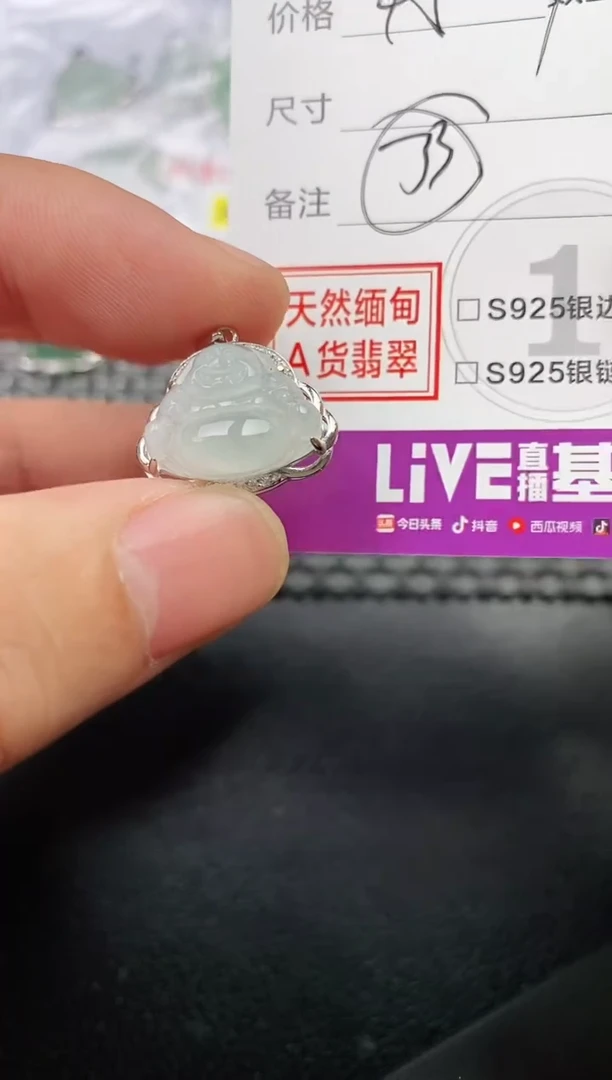 颈饰银S925镶嵌翡翠梅*籽挂件