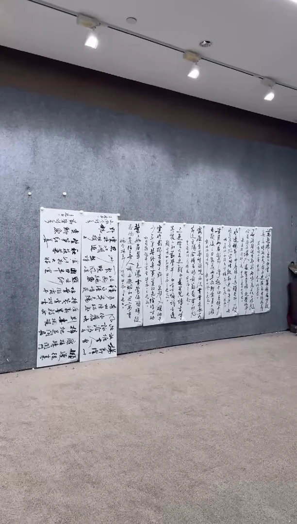 【闪购商品】书法pmb不二轩旗舰店国画WHZ8