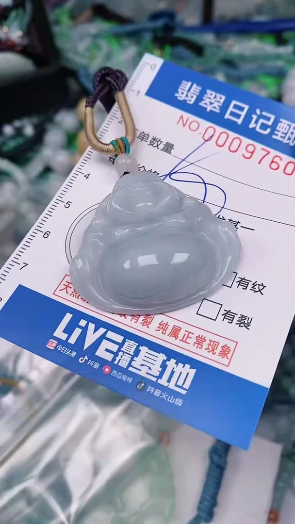 【闪购商品】翡翠颈饰未镶嵌00009760