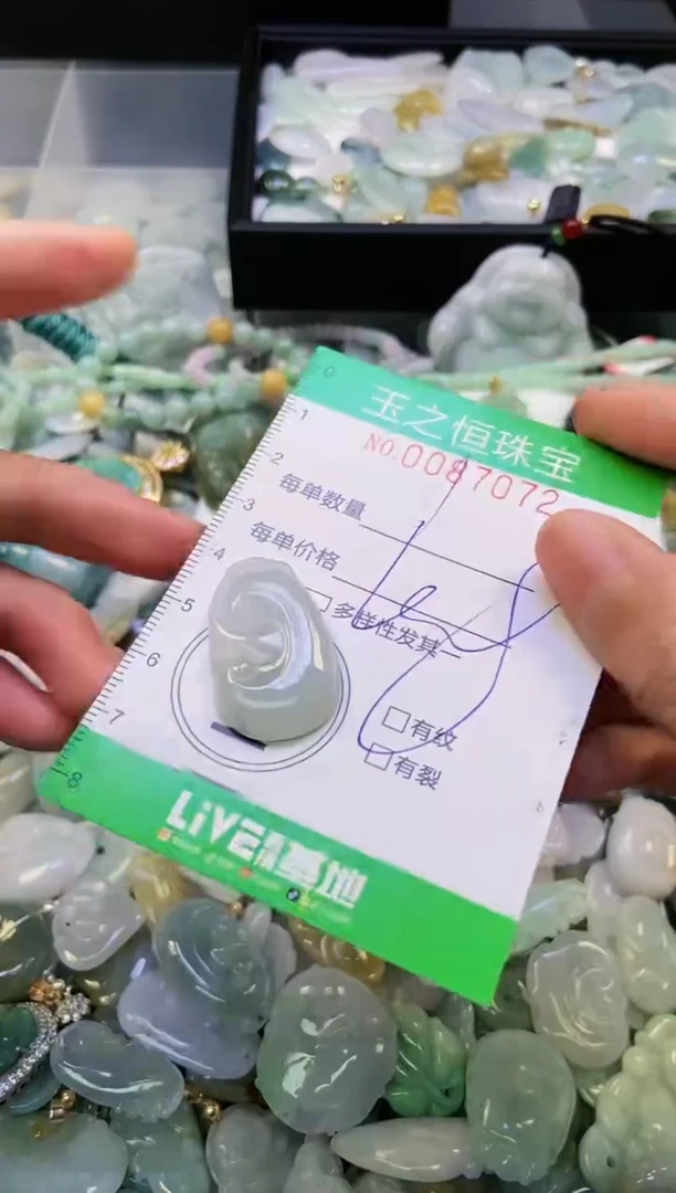 翡翠未镶嵌颈饰闪购0087072