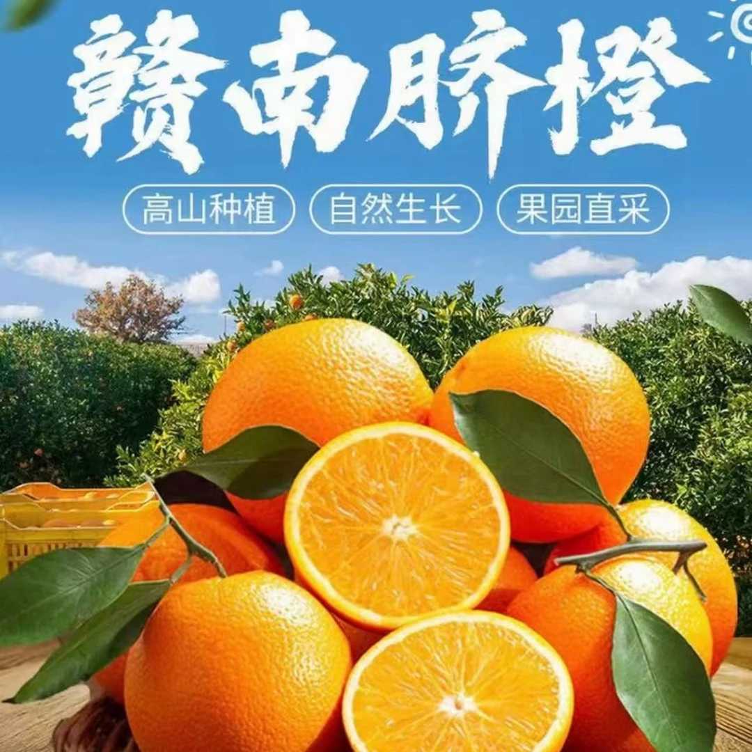 An【现摘现发】正宗赣南脐橙皮薄肉厚多汁当季新鲜采摘