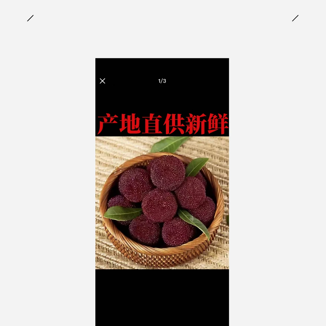 仙居荸荠杨梅 新鲜采摘  自产自销 整箱6-6.5斤顺丰冷链空运