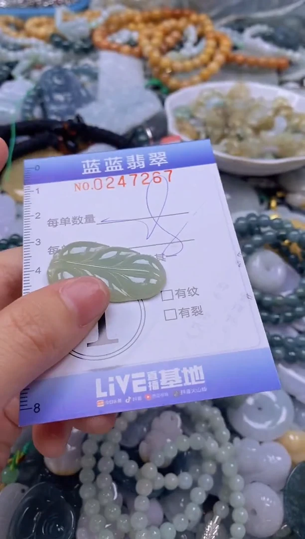 翡翠未镶嵌颈饰闪购0247267