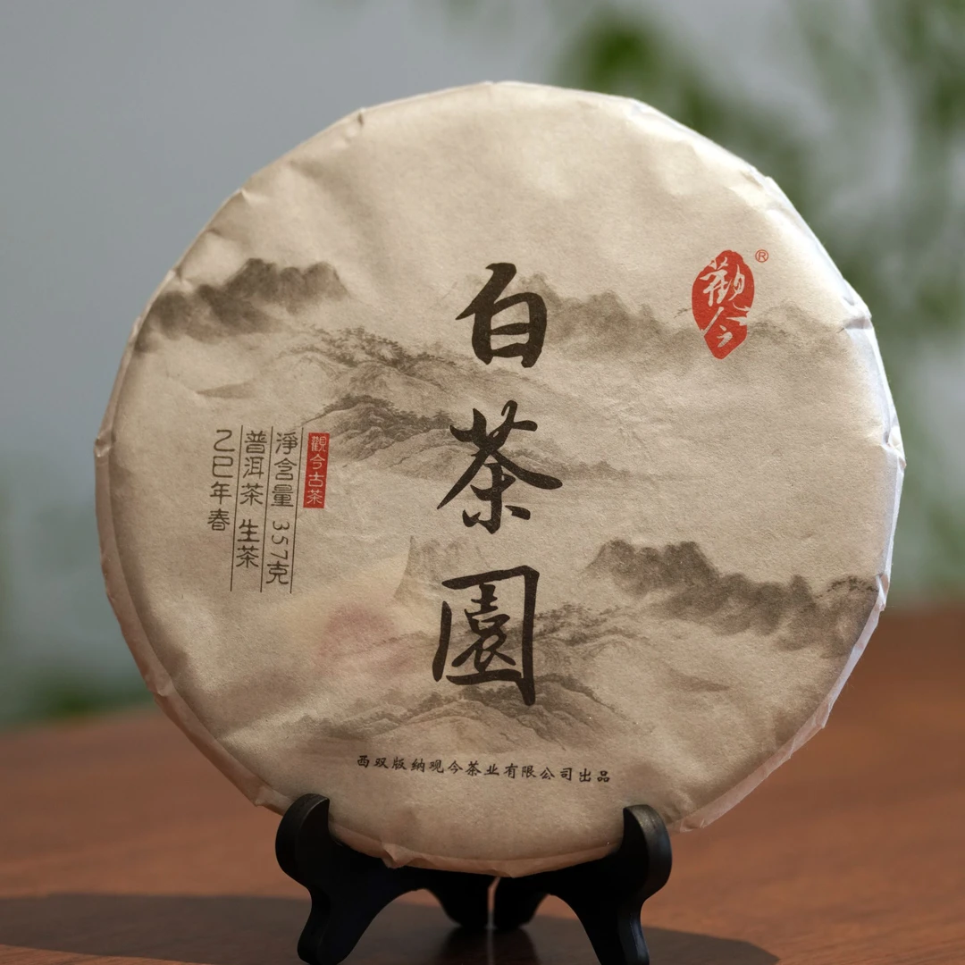 觀今【2025年春 白茶园】普洱生茶 357克