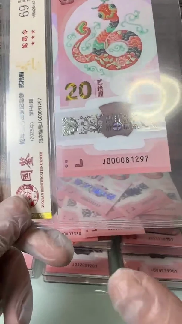 【闪购商品】塑料000081297-蛇钞单张！