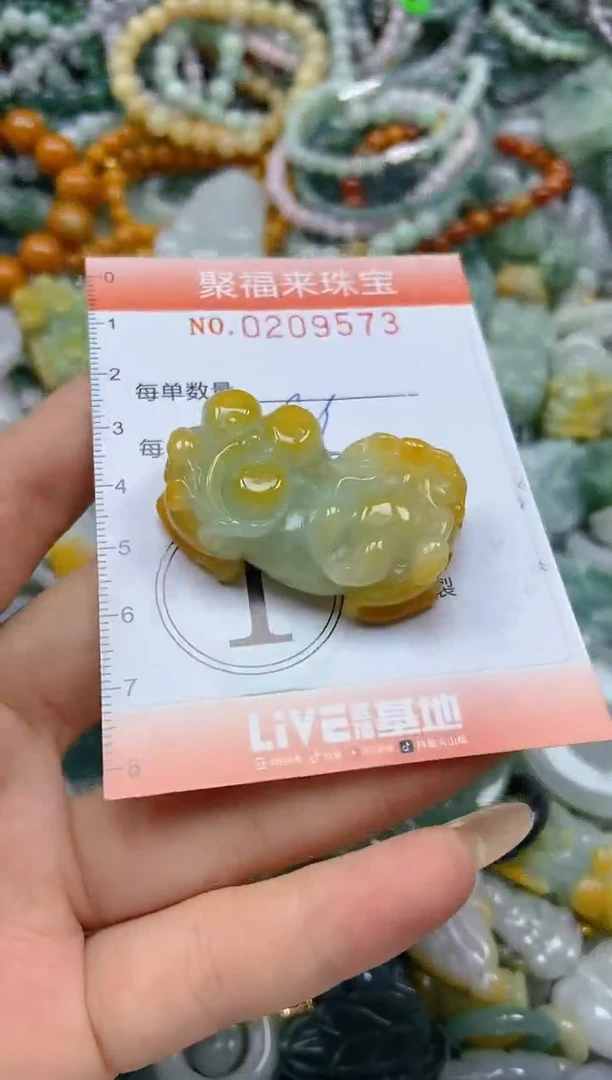 翡翠挂件未镶嵌闪购0209573