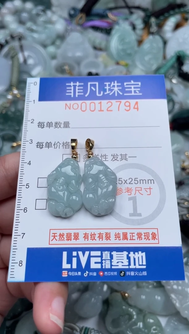 颈饰未镶嵌翡翠12794