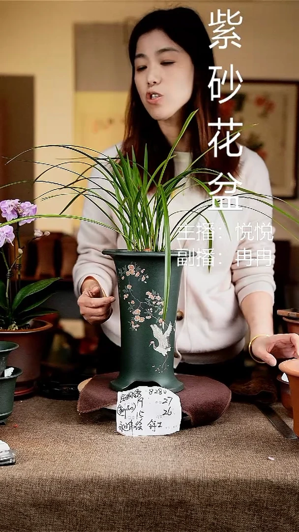 紫砂花盆花卉园艺8280+s