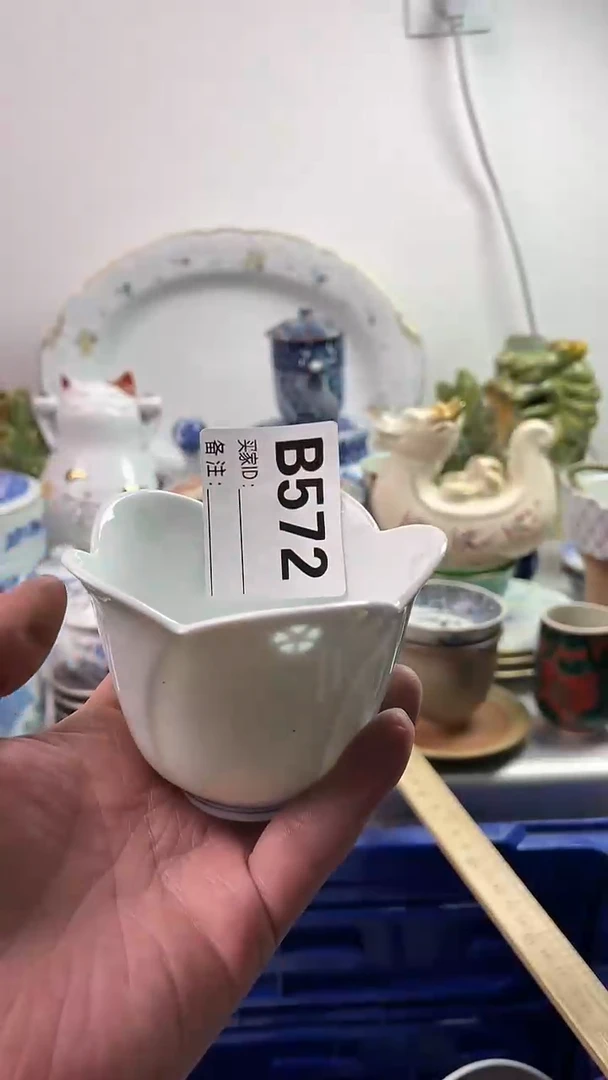 【闪购商品】瓷片777777777 B572