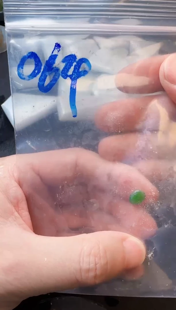 翡翠未镶嵌颈饰特***星天然缅甸A货翡翠064