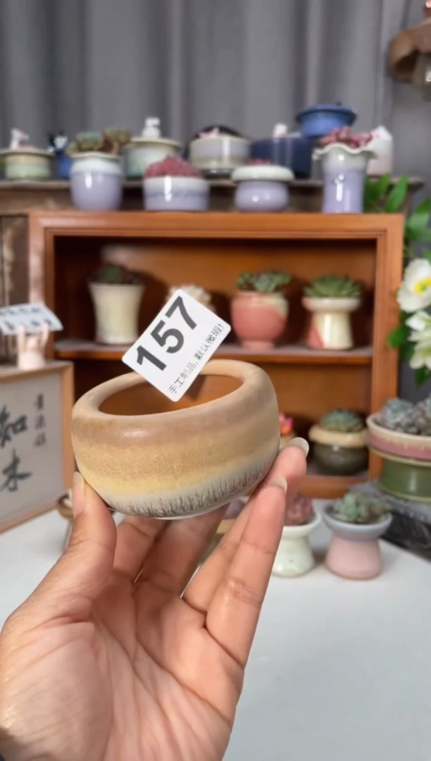 瓷片157小芳直播编号