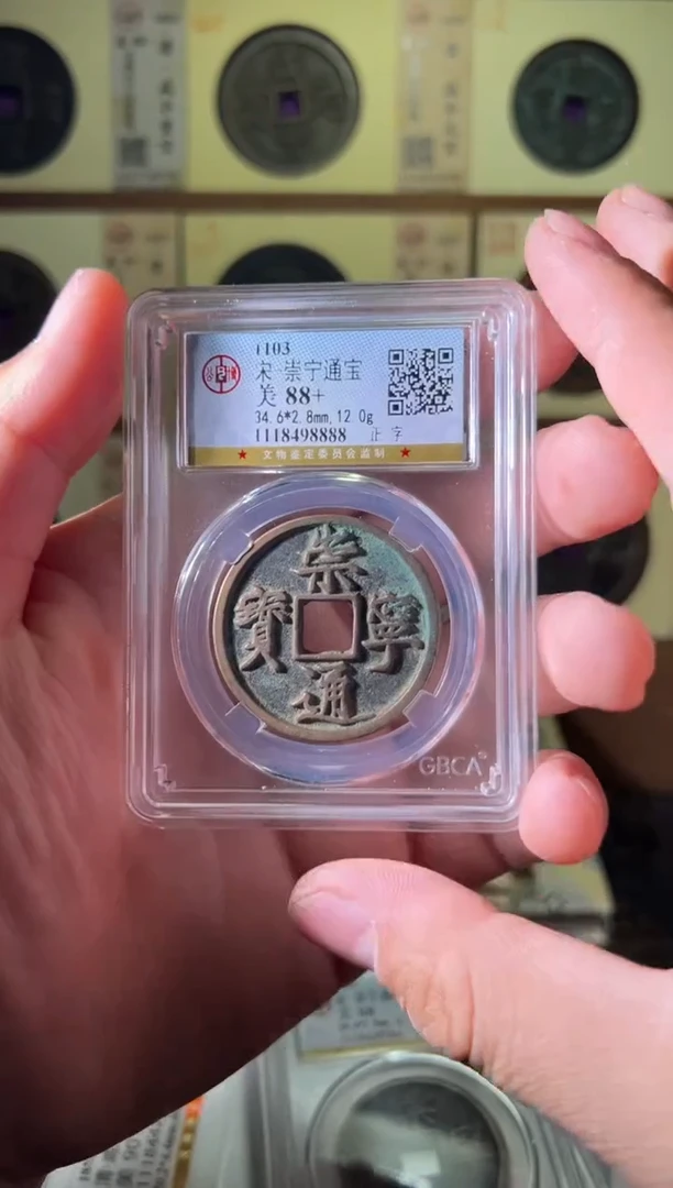 【闪购商品】贝壳111111111111111