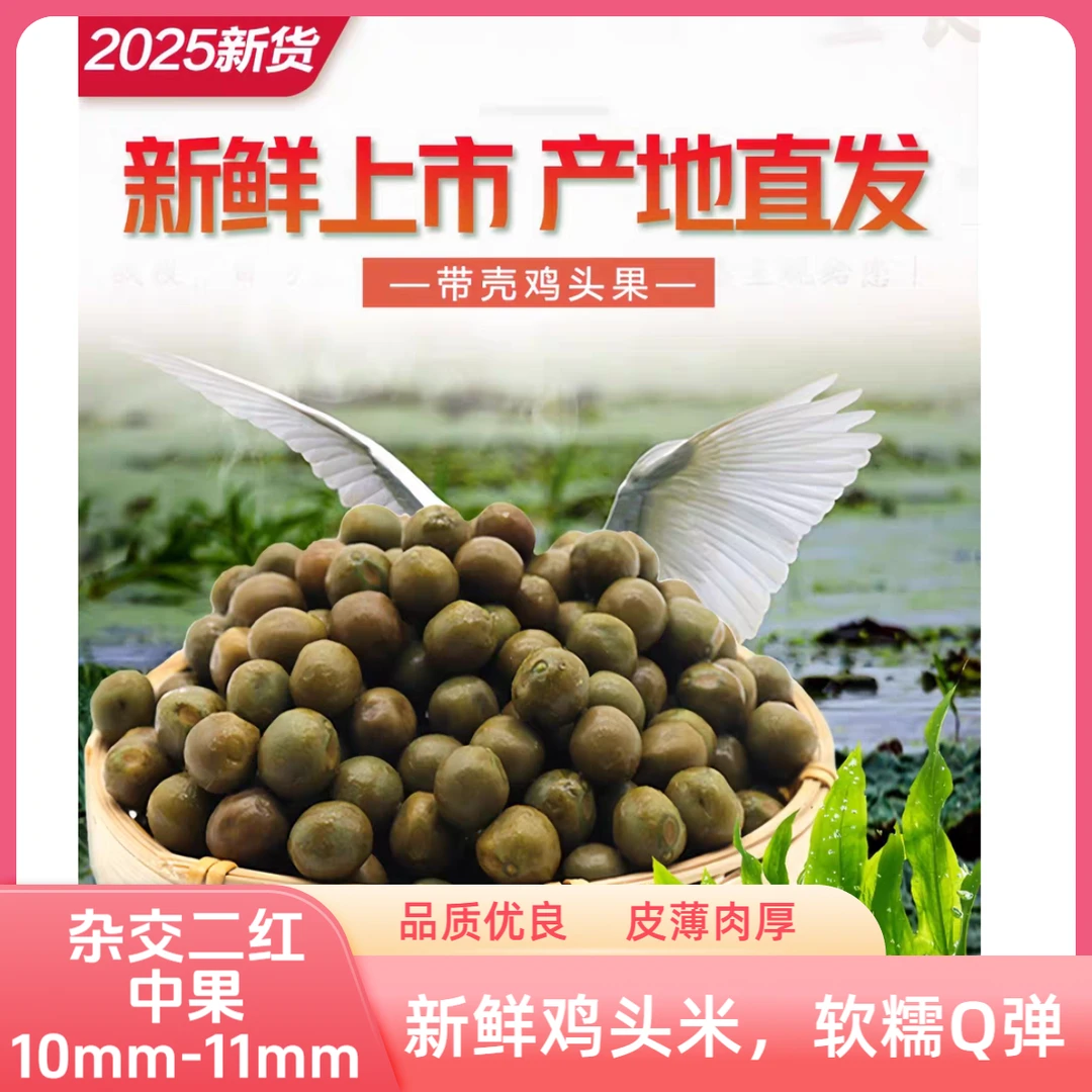 2025新鲜鸡头米壳薄肉厚软糯Q弹10mm-11mm中果打磨不涩原产地发货