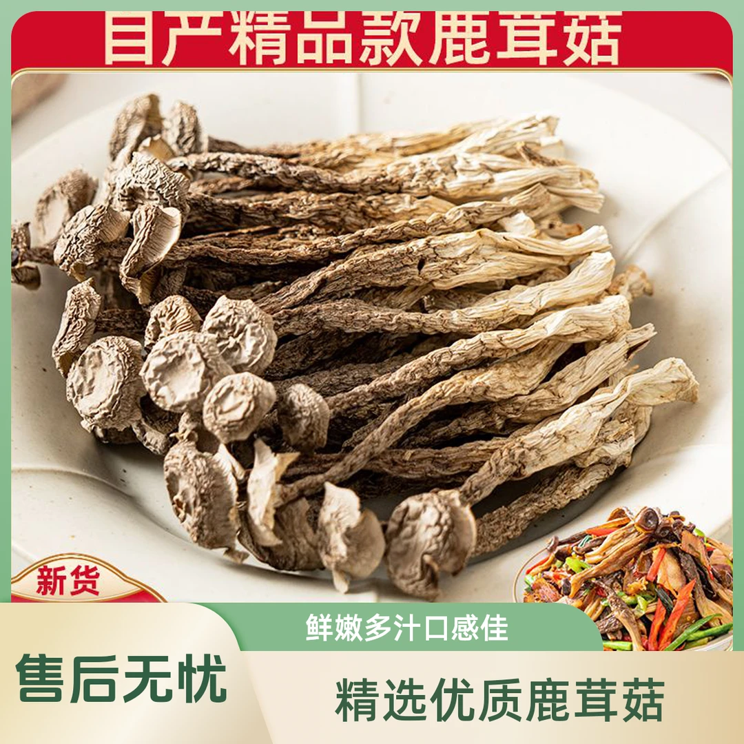 【高山鹿茸菇】鹿茸菇500g正品干货农家特产炒腊肉厨房煲汤食材
