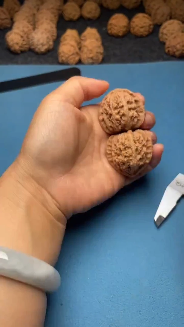 桃核把件w100  白狮子37尺