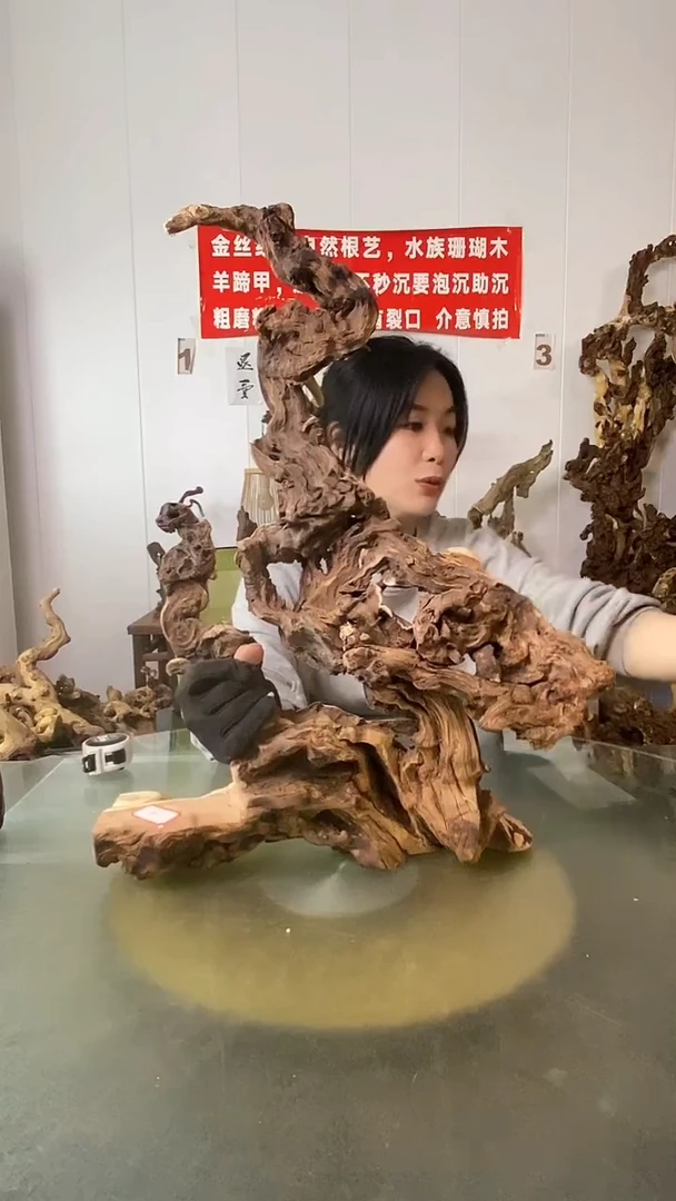 香榧木用****5金丝红木 羊蹄甲