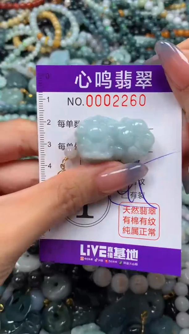 颈饰未镶嵌翡翠闪购002260