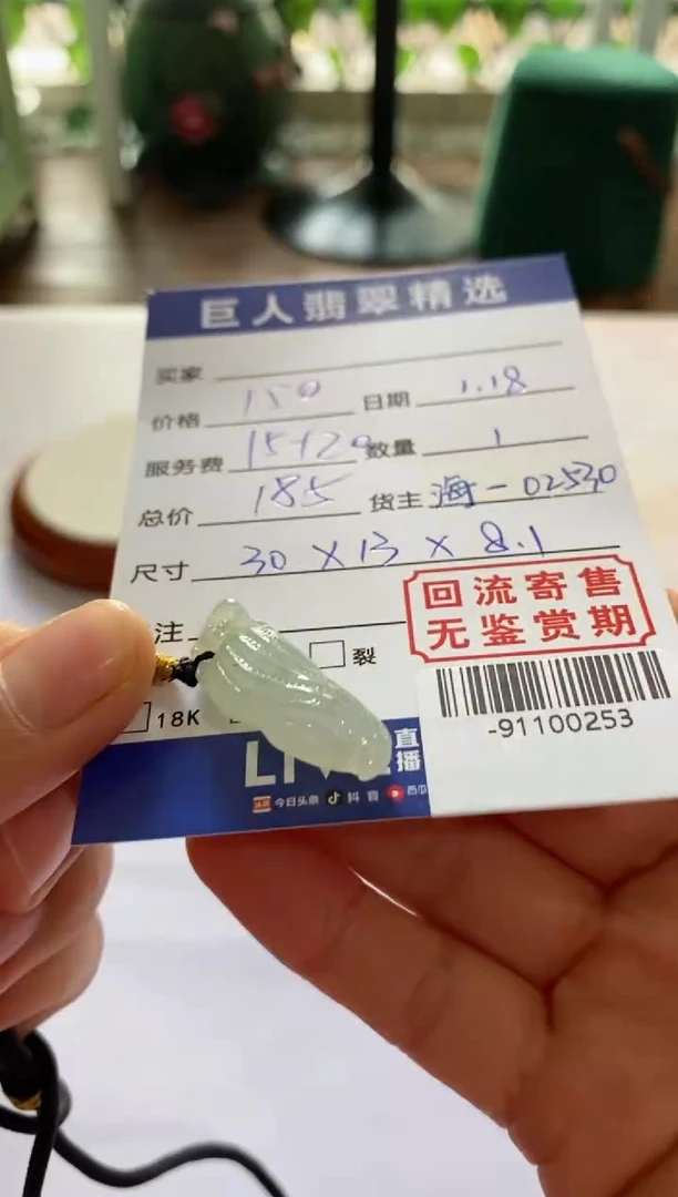 【闪购商品】翡翠颈饰未镶嵌多人-91100253