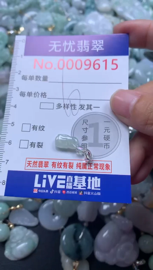 颈饰未镶嵌翡翠9615