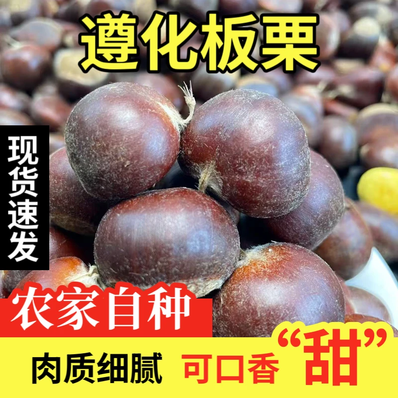 2025年遵化板栗好剥皮油栗燕山板栗1斤/3斤/5斤