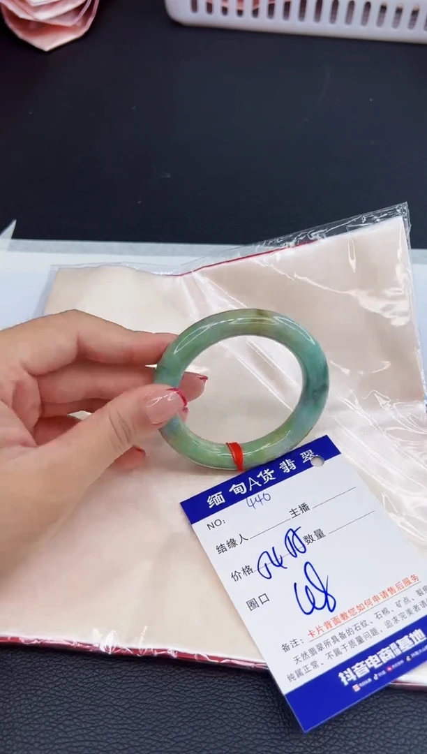 未镶嵌手镯翡翠1111111